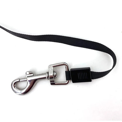 3m 5m Dog Leash for Small Dogs Cat Automatic Retractable Durable Nylon Lead Puppy Outdoor Travel Walking Hiking Traction Rope