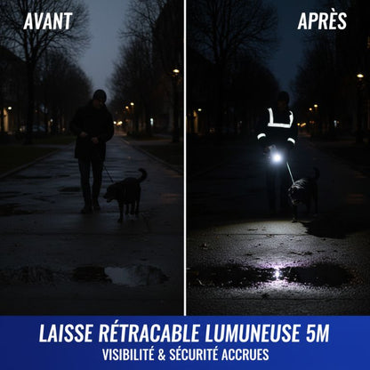 1pc Illuminated Retractable Dog Leash -16ft, Adjustable,ldeal For Medium And Large Dogs, Perfect For Nighttime Walks And Runs