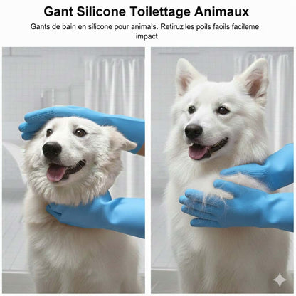 Gants de Toilettage pour Chien – Massage, Bain et Anti-Poils